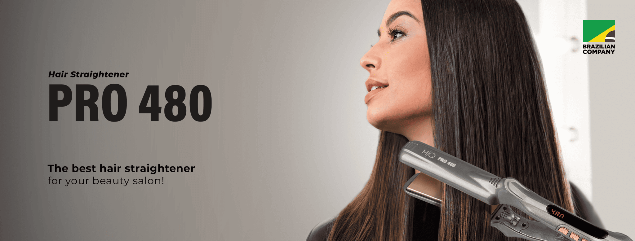 Professional Hair Straightener Pro 480